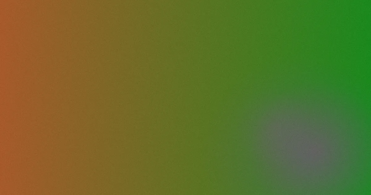 妈妈的朋友bd对比：一次选碟复盘